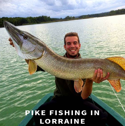 Pike fishing in Lorraine